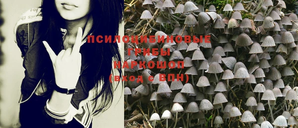 mix Верея