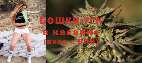 ешки Верхний Тагил