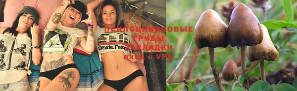 ешки Верхний Тагил